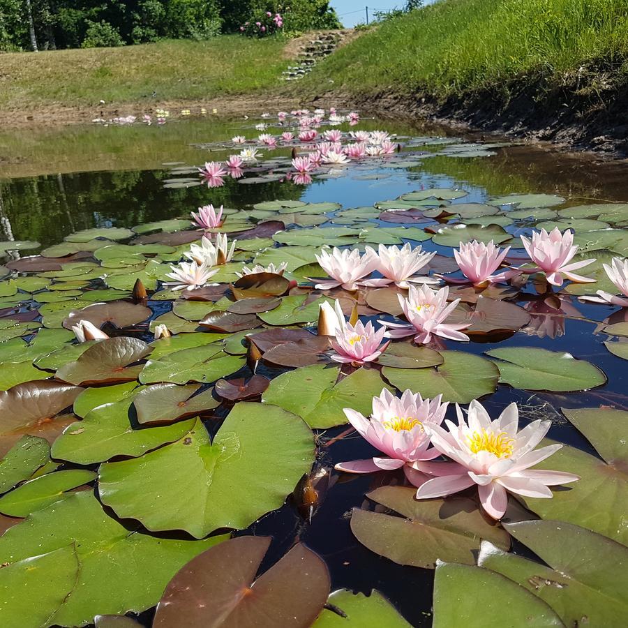 Vila Sanzila Bernatoniai Luaran gambar
