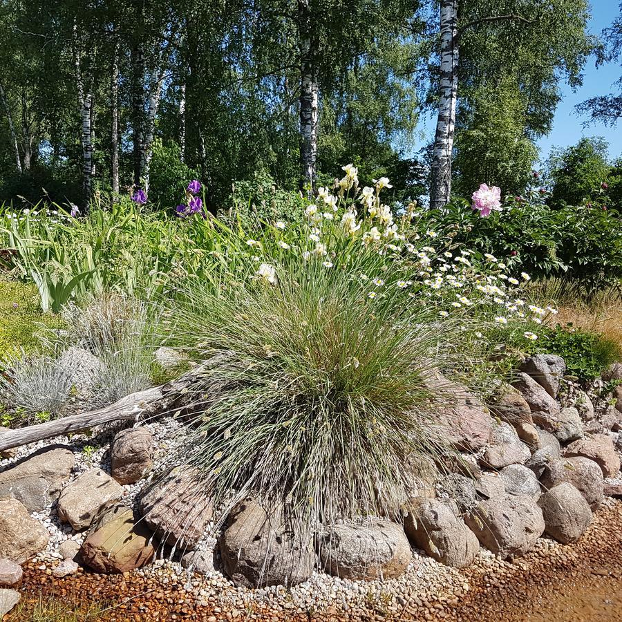 Vila Sanzila Bernatoniai Luaran gambar