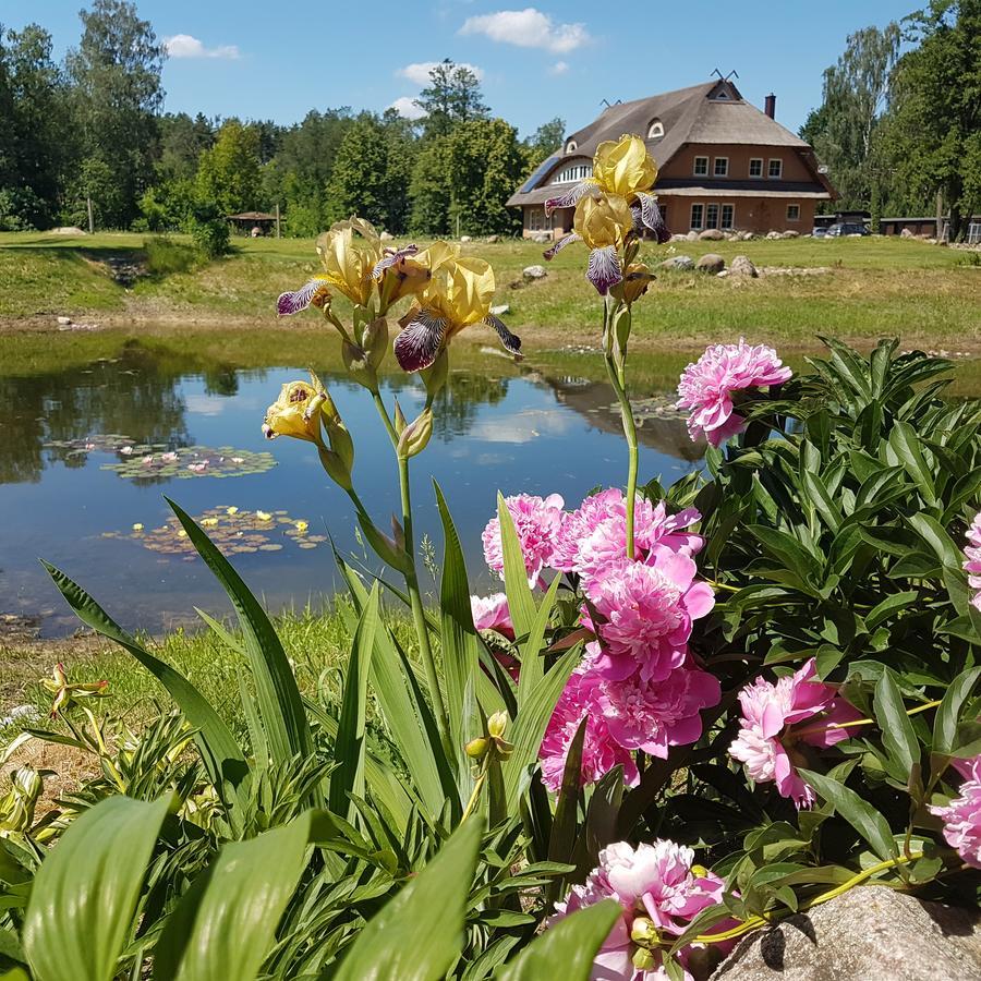 Vila Sanzila Bernatoniai Luaran gambar